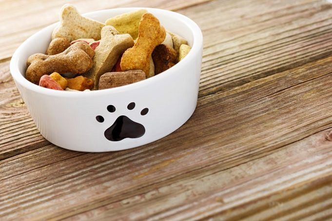 6 Migliori Ciotole Per Cani Ad Alimentazione Lenta: Tempo Di Cibo Lento, Sicuro E Costante!