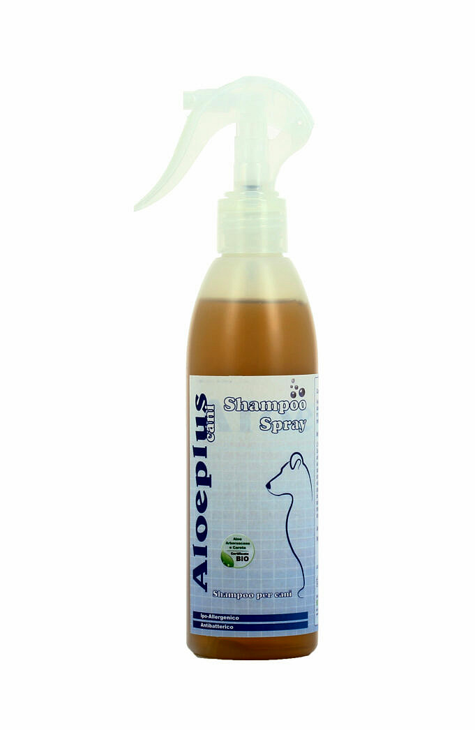 6 Migliori Shampoo Antibatterici Per Cani