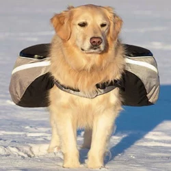 Guida allacquisto delle borse da sella per cani