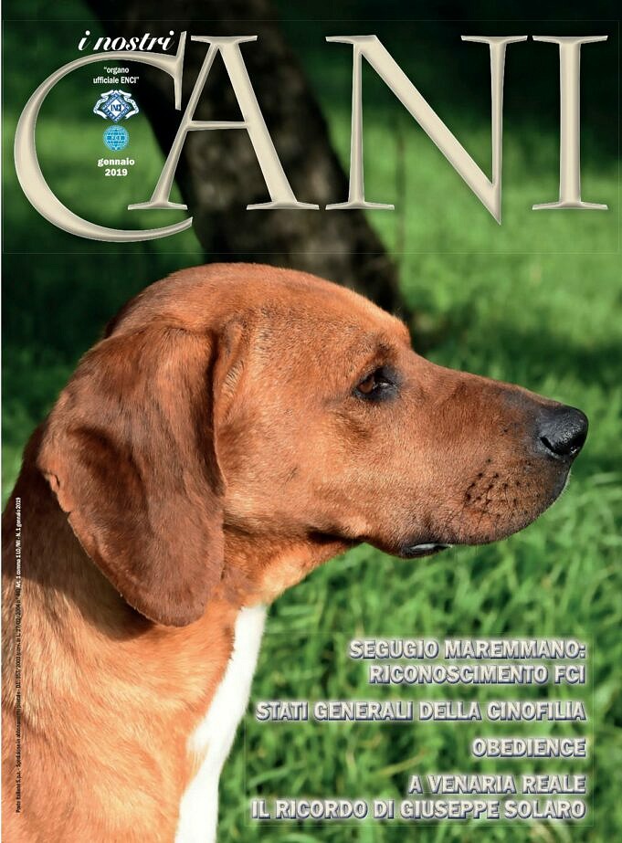I 12 Migliori Consigli Per Lallevamento Di Cani Di Successo Genetica Canili Libri Ecc