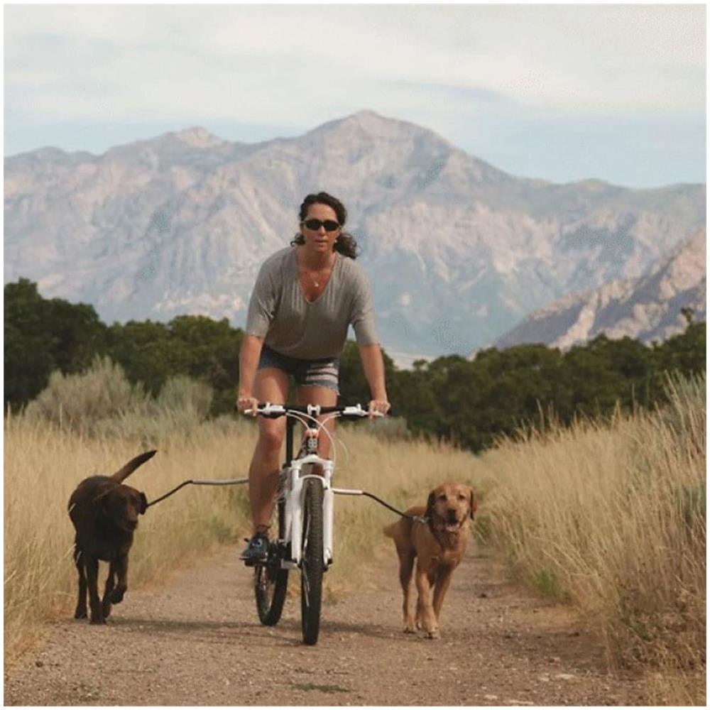 I 5 Migliori Guinzagli Per Cani Per Andare In Bicicletta Correre Insieme Al Tuo Cane