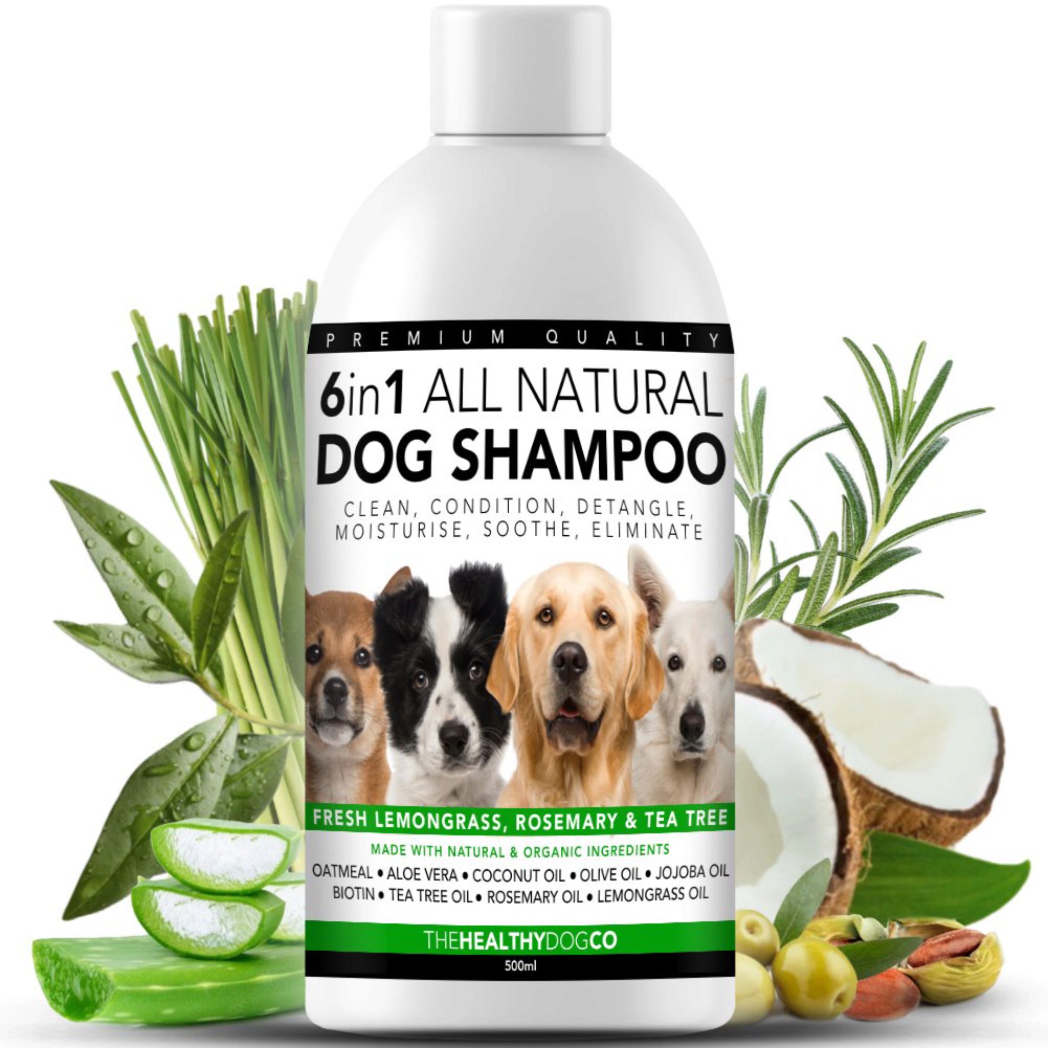 I 5 Migliori Shampoo Antifungini Per Cani