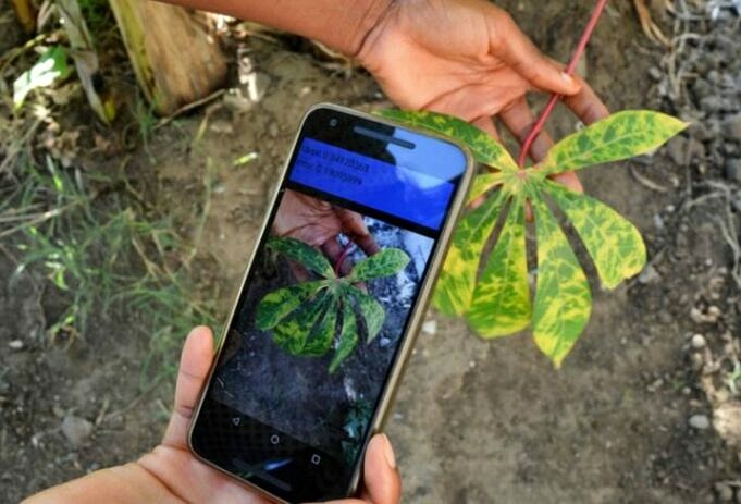 Le Migliori App Di Guida Per Il Giardinaggio E Le Piante Per Android E IPhone