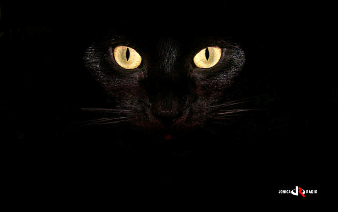 MypetneedsthatCat Black Cat Superstition Bad And Good Luck Beliefs