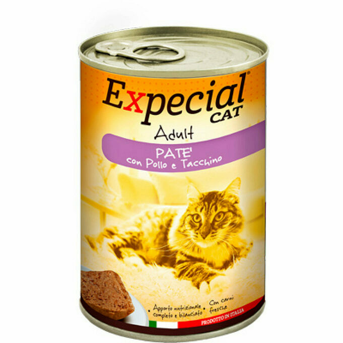 MypetneedsthatCat Quali Sostanze Nutritive Vogliono I Gattini Nel Loro Cibo Per Gatti